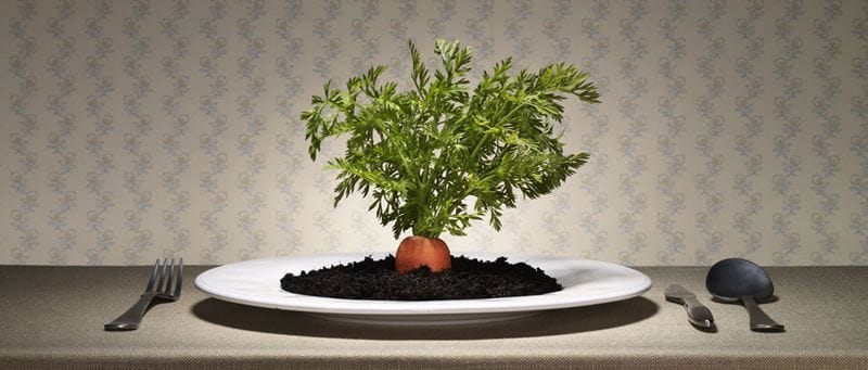 carrot in a plate