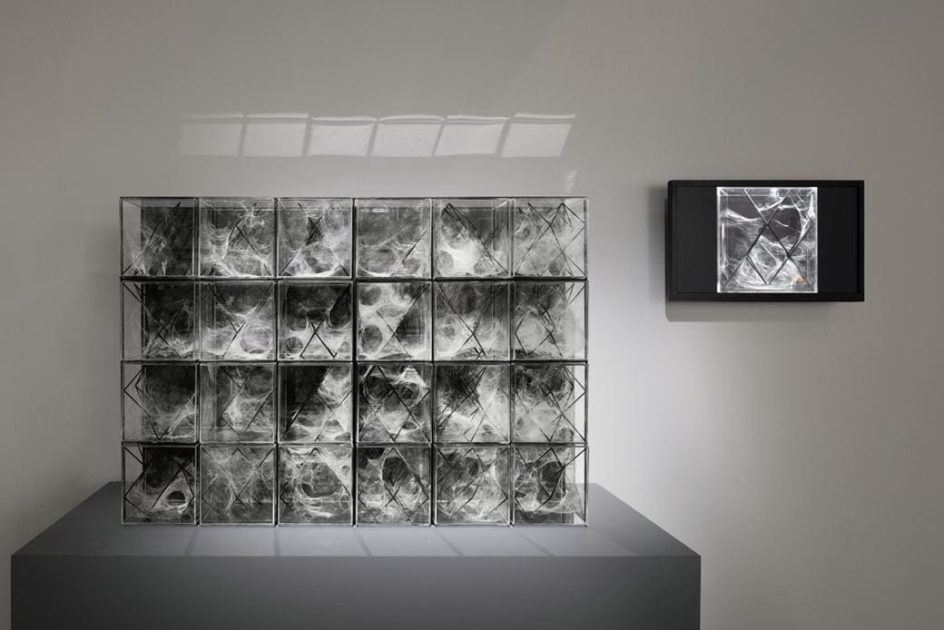 XenoDerma on display at Pompidou Centre in Paris
