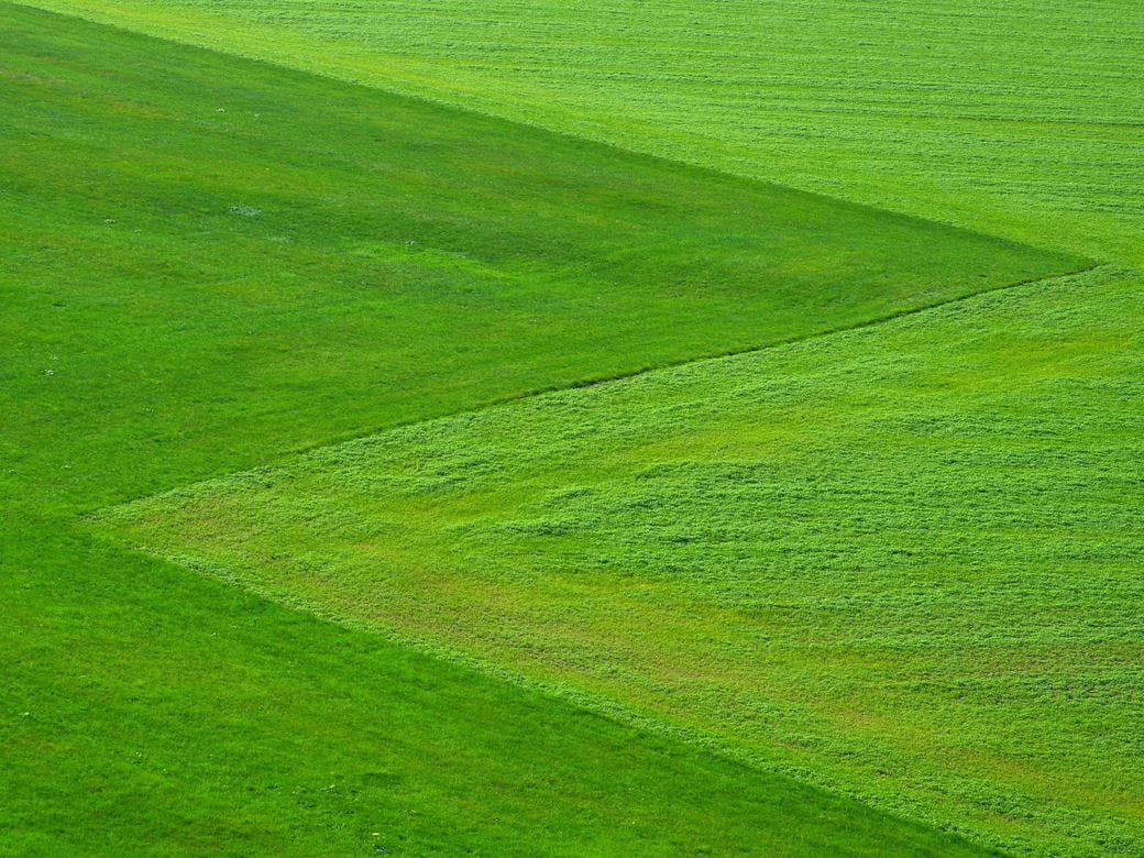 Meadow green field