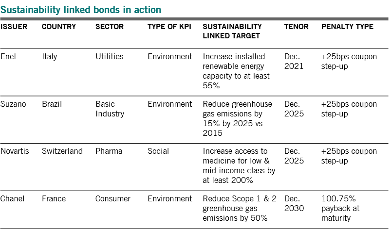 Examples of sustainability linked issues to-date