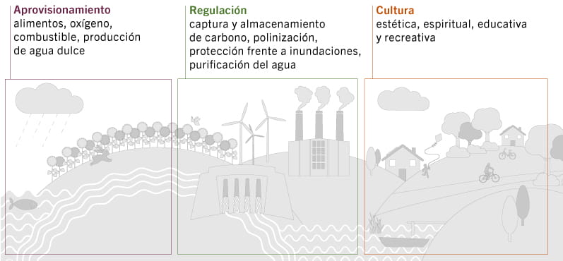 SRC-biodiversidad_actualización_PAM